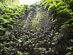 Click to see Y-B0000143.jpg