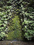 Click to see Y-B0000149.jpg