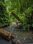 Click to see Y-B0000153-EDIT.jpg