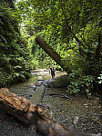 Click to see Y-B0000153.jpg