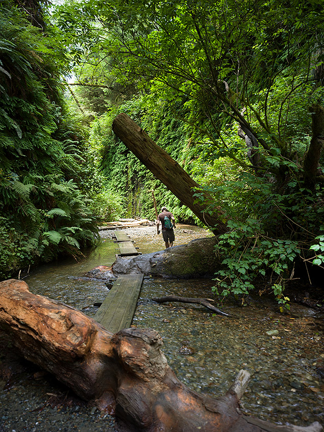Hasselblad X1D Field Test