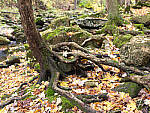 Click to see Y-JG-HAS-X2D-100C-0579.JPG