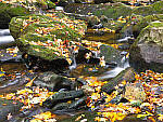 Click to see Y-JG-HAS-X2D-100C-0589-MOD.JPG