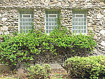 Click to see Y-JG-HAS-X2D-100C-0712.JPG