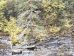 Click to see Y-JG-HAS-X2D-100C-0835.JPG