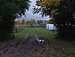 Click to see Y-JG-HAS-X2D-100C-1014.JPG