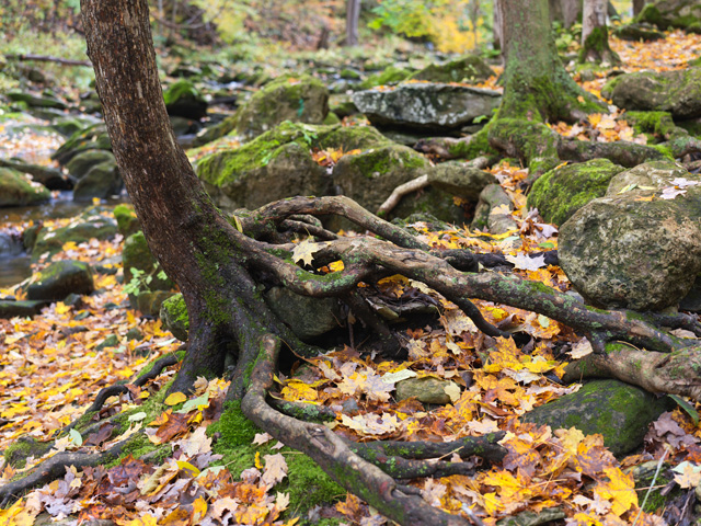 Hasselblad X2D 100C Review: Field Test -- Gallery Image