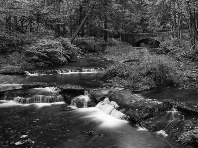 Hasselblad X2D 100C Review: Field Test -- Gallery Image
