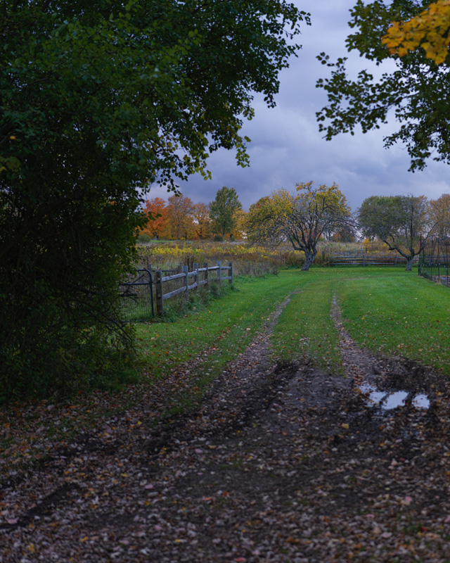 Hasselblad X2D 100C Review: Field Test -- Gallery Image