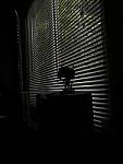 Click to see YIMG-20180320-140540-ISOtest.jpg