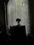 Click to see YIMG-20180320-140559-ISOtest.jpg