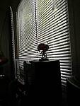 Click to see YIMG-20180320-140601-ISOtest.jpg