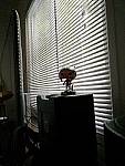 Click to see YIMG-20180320-140604-ISOtest.jpg