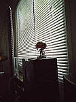 Click to see YIMG-20180320-140604-RAW-EDIT.jpg