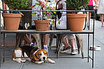 Click to see YL1040164-LR.JPG