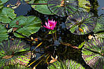 Click to see YL1040678-LR.JPG