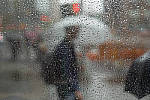 Click to see YL1050850-LR.JPG