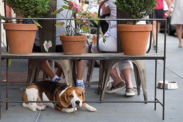 Leica SL Review -- Gallery Image