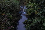 Click to see Y-JS-L1000181.JPG