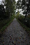 Click to see Y-JS-L1000194.JPG