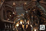 Click to see YL1160420.JPG