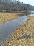 Click to see Y-L16_00292.jpg