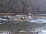 Click to see Y-L16_00294.jpg