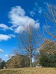 Click to see Y-L16_00338.jpg