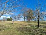 Click to see Y-L16_00387.jpg