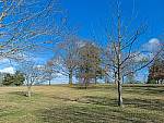 Click to see Y-L16_00389.jpg