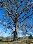Click to see Y-L16_00394.jpg