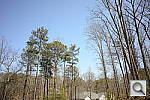 Click to see CPAPINE.JPG