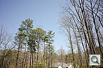 Click to see CPAPINE_ACRu100r03.JPG