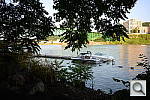 Click to see YDSC_0806.JPG