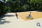 Click to see YDSC_0805.JPG