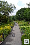 Click to see YDSC_0872.JPG