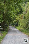 Click to see YDSC_1012.JPG