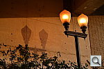 Click to see YDSC_1034.JPG