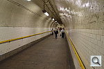 Click to see YDSC_1046.JPG