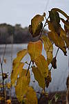 Click to see Y-KIT-A0629.JPG