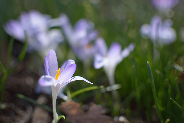 Nikon D3300 Review -- Sample photo
