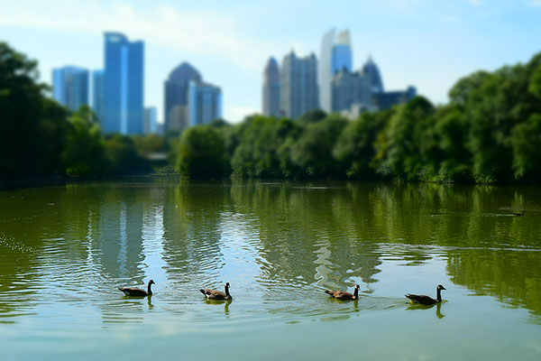 Nikon D3300 Review -- Gallery image