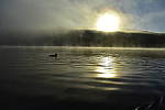 Click to see Y-KIT_DSC0264.JPG