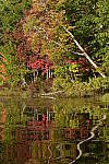Click to see Y-KIT_DSC0280.JPG