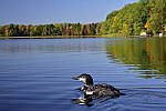 Click to see Y-KIT_DSC0436.JPG
