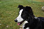 Click to see Y-KIT_DSC0551.JPG