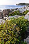 Click to see Y-KIT_DSC0607.JPG