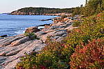 Click to see Y-KIT_DSC0613-SFX-Original-Comparison.JPG