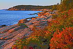 Click to see Y-KIT_DSC0614-SFX-Photo-Illustration.JPG