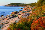 Click to see Y-KIT_DSC0616-SFX-Miniature.JPG